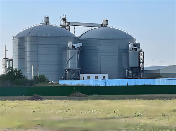 广安钢板仓建造施工方案详解